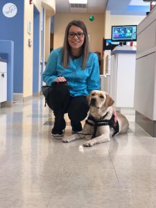 facility dog and dental assistant in pediatric dental office.